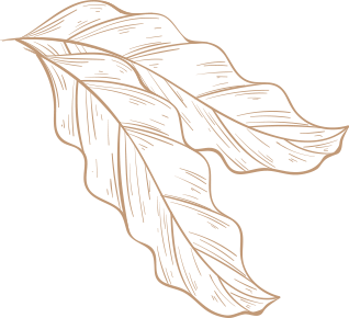 The Leaf